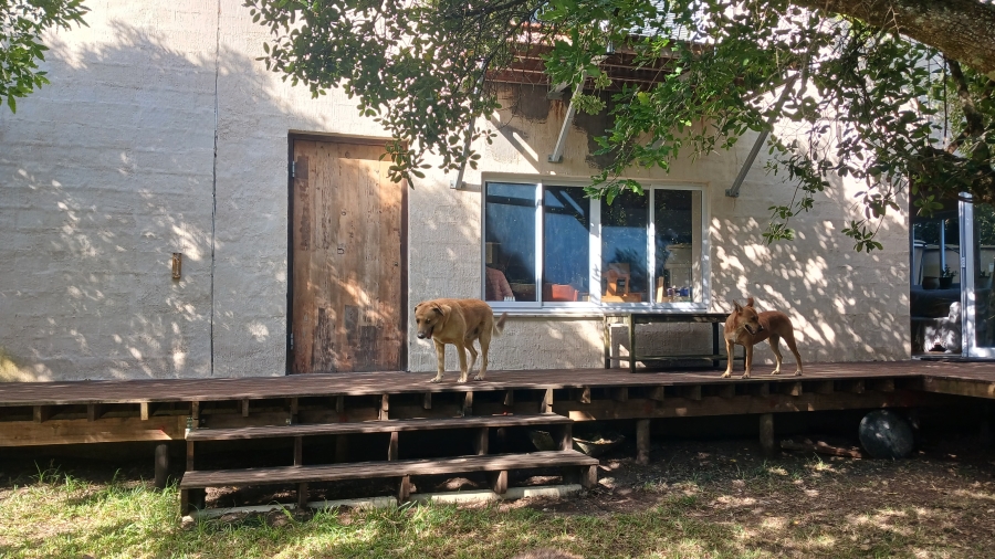 To Let 2 Bedroom Property for Rent in Walmer Heights Eastern Cape